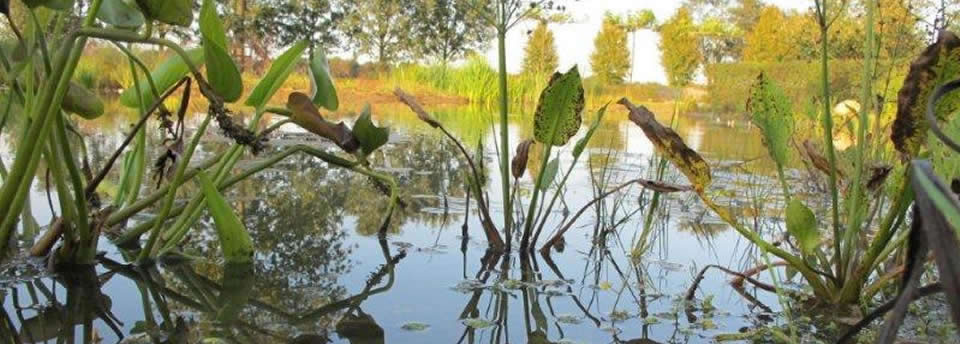 vrouwenscala hoogeveen